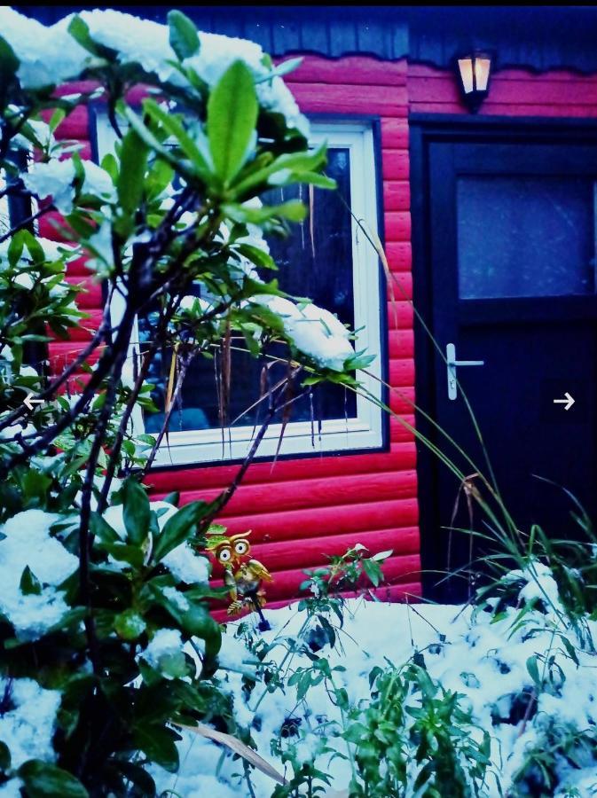 Tiny Waldheim Βίλα Billerbeck Εξωτερικό φωτογραφία